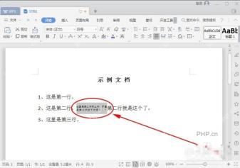 WPS 文字文档中双行合一完成后的排版效果