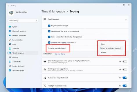 Win11 Time and language Typing 页面将 Show the touch keyboard 设置为 Never