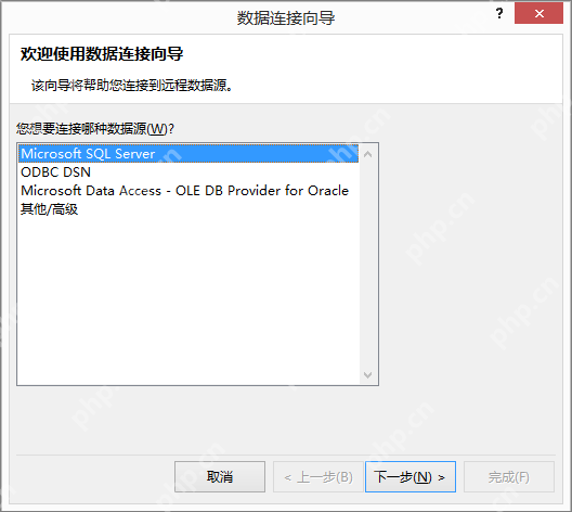 Word 数据连接向导中选择数据源类型的界面