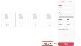 添加水印下载加水印后的PDF并检查