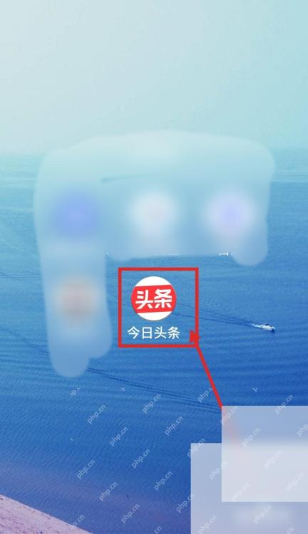 今日头条APP如何修改登录手机号