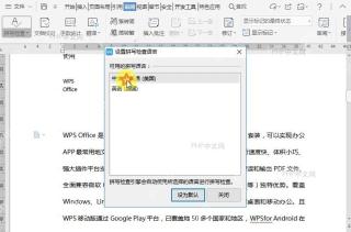 WPS如何设置文档拼写检查语言?设置效果