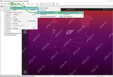 VMware Workstation Removable Devices 子菜单选择 USB 磁盘并点击 Connect