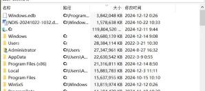大小列清楚可见,可核对筛选结果。 Everything 中文结果列表显示名称、路径、大小和修改时间列。