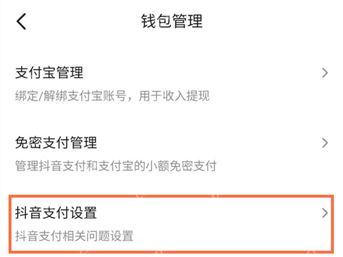 抖音钱包管理中的抖音支付设置