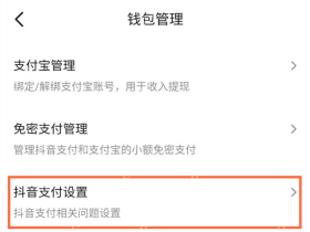抖音钱包管理中的抖音支付设置