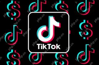 TikTok视频推荐一成不变怎么办? - php中文网