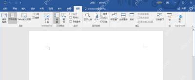 Word 视图选项卡中切回页面视图的界面