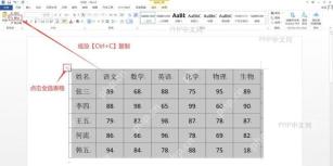 Word 文档中表格被选中的界面