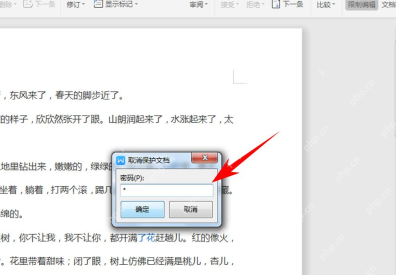 Word 停止保护需要输入密码