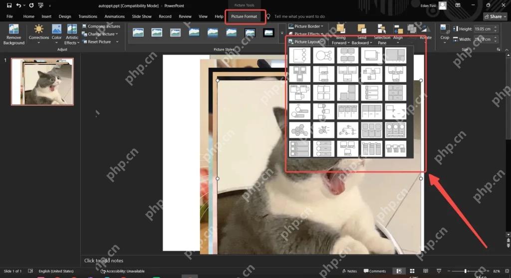 PowerPoint 图片格式里打开图片版式菜单选择照片排版样式