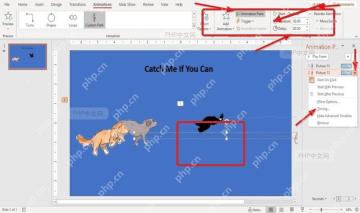PowerPoint动画选项卡中效果选项和添加动画按钮位置