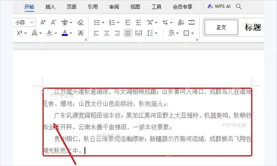 WPS文字正文中检查段落左边界和首行缩进结果