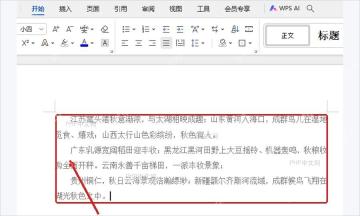 WPS文字正文中检查段落左边界和首行缩进结果