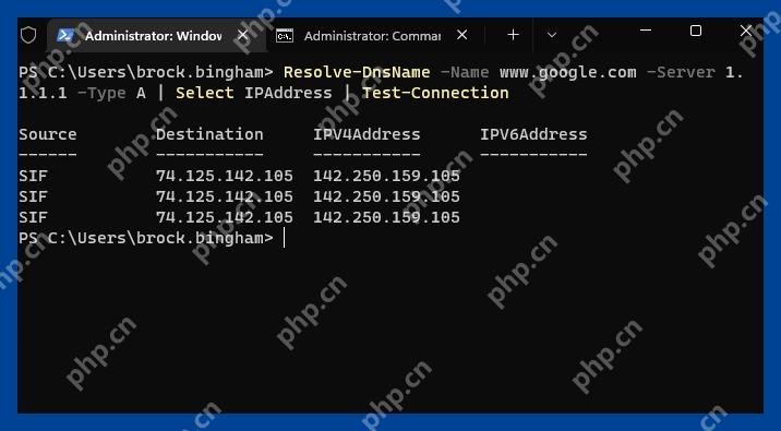 Windows 11 指定 DNS 服务器比较结果的真实界面截图
