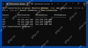 Windows 11 指定 DNS 服务器比较结果的真实界面截图