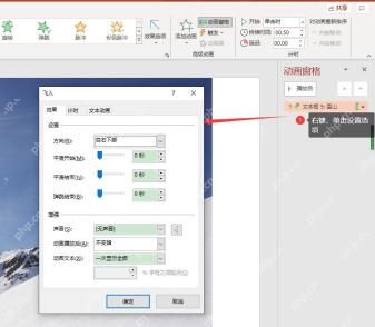 PowerPoint动画窗格中进入效果选项检查动画条目