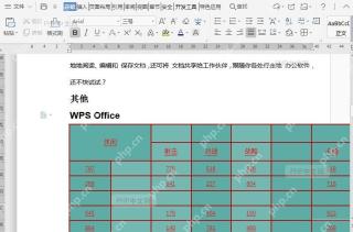 如何突出显示文档表格内容？
