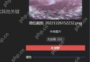 Wallpaper Engine 本地壁纸详情区域显示移除按钮用于删除已导入壁纸记录