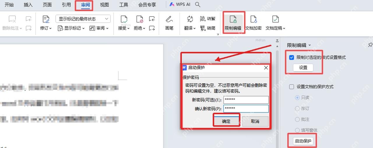 WPS文字启动保护窗口中输入并确认保护密码
