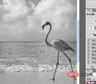 Comment transformer des images en images de croquis dans PS