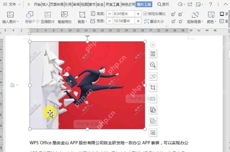 如何重设文档图片大小？结果检查
