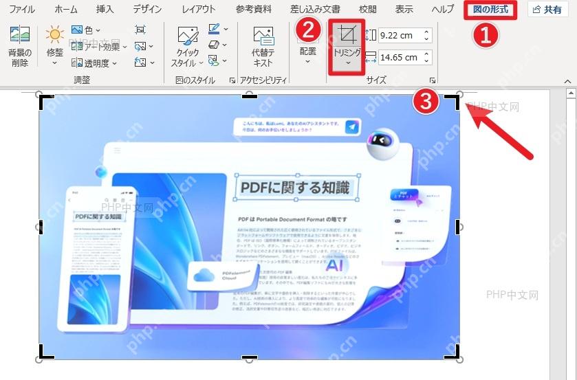 Word中选中图片