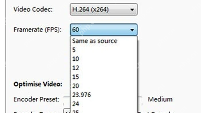HandBrake Video 页中的 Video Codec 和 Framerate 设置区域