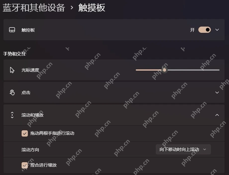 Win11 触摸板滚动和缩放设置双指滚动方向
