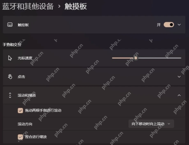 Win11 触摸板滚动和缩放设置双指滚动方向