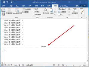Word中选中分页符后按Delete删除空白页