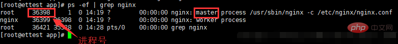 So fahren Sie Nginx unter Linux herunter