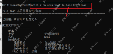 Windows 命令提示符按指定热点名称查询 WiFi 配置详情
