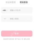 切换密码登录后的空手机号与密码输入项