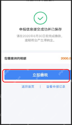 个人所得税App真实操作界面截图：个人所得税App申报成功后立即缴税入口
