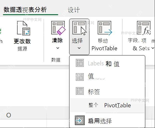 Excel 数据透视表分析中选择整个数据透视表
