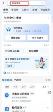 怎样用支付宝搜索框直达社保查询