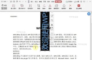 如何向左旋转PDF文件中的图片?结果检查