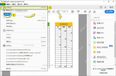 WPS打开PDF文件界面