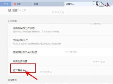 WPS 设置中心工作环境区域显示打开备份中心入口