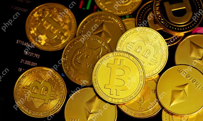 永续合约10倍和75倍杠杆交易方法介绍 - php中文网