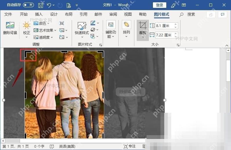 Word如何按形状裁剪文档图片? 检查裁剪后的图片