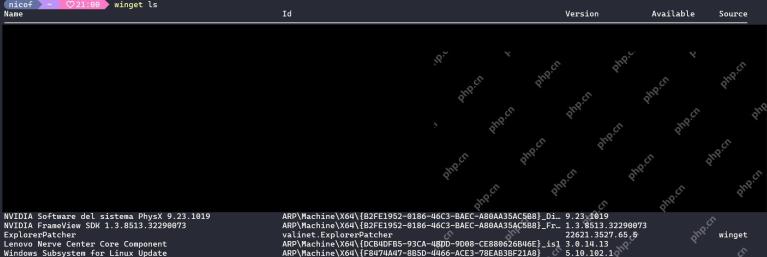 Win11 PowerShell 运行 winget ls 后显示安装包名称和被截断的 ID