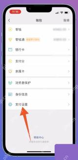 微信零钱包页面里的支付设置入口