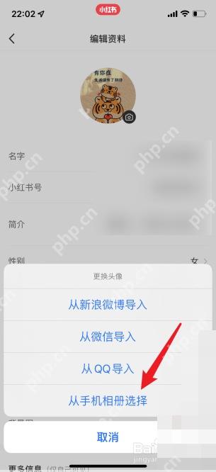 小红书头像更换面板相册入口,用于重新选择合规头像