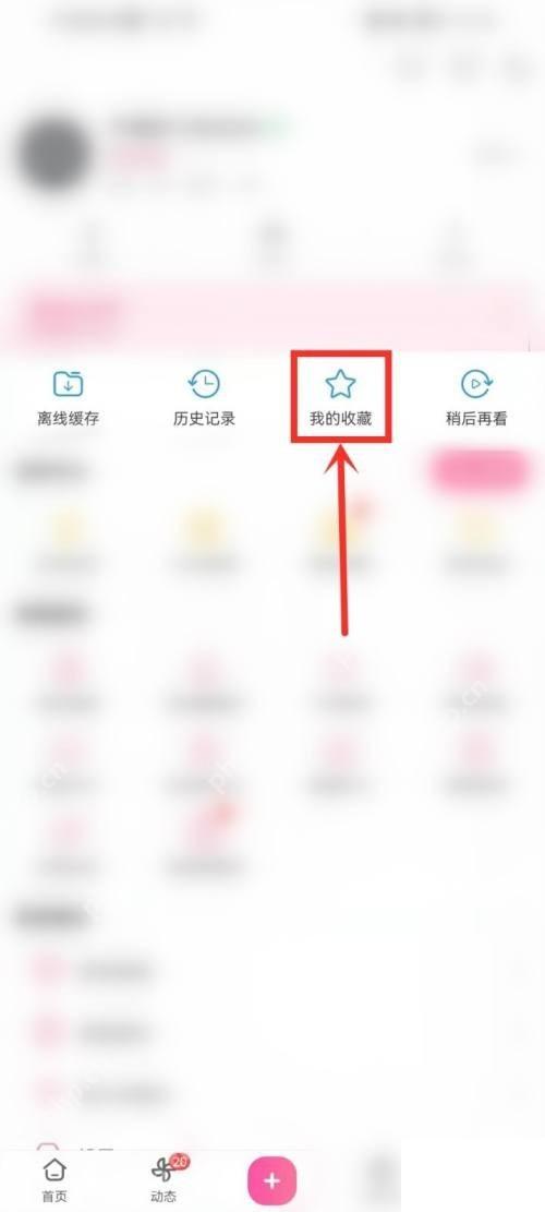 哔哩哔哩我的页里的我的收藏入口