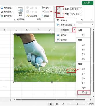 Excel 裁剪菜单中选择纵横比或裁剪为形状来控制图片轮廓