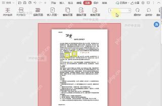 如何快速选择PDF文档中的奇数页面?中间操作