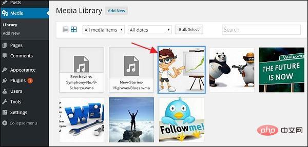 How to clear wordpress media library