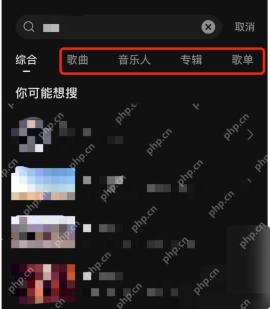 汽水音乐搜索结果页歌曲分类